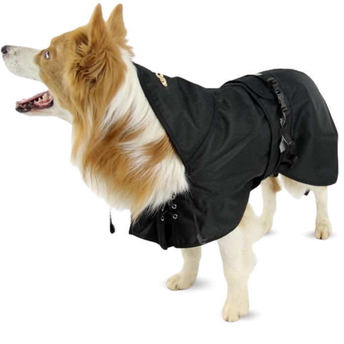 Abrigo Térmico Impermeable para Perros | Back on Track