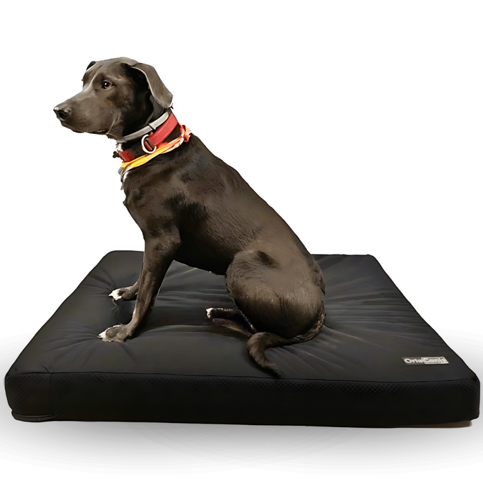 Colchón para Perros Viscoelástico con Funda | 4 Tallas