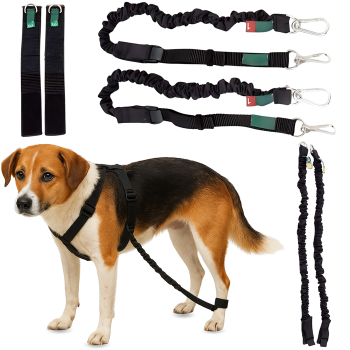 Dispositivo para Ataxia Canina | Asistencia para Perros