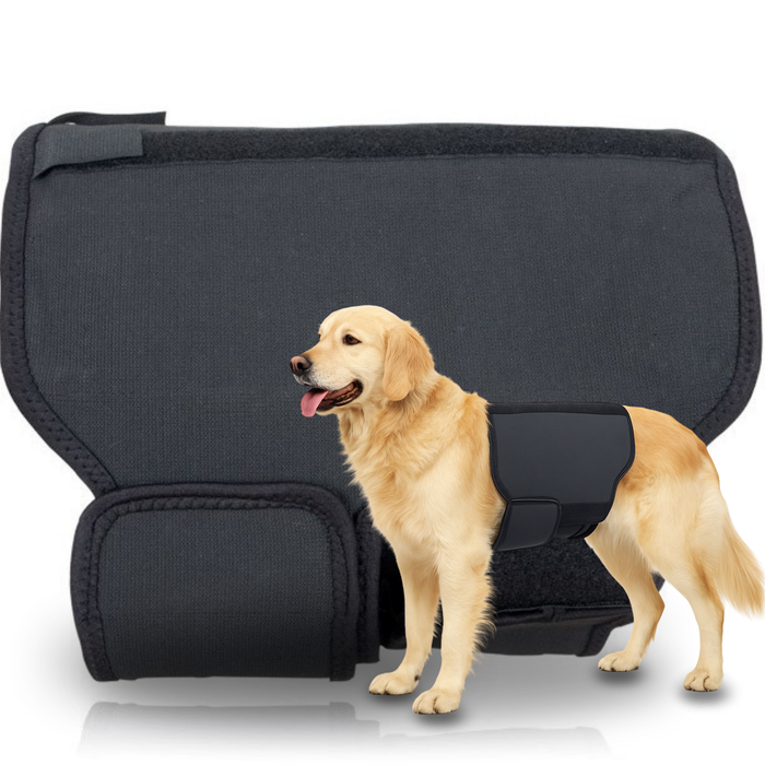 Soporte Térmico Canino Back on Track | Faja para la espalda