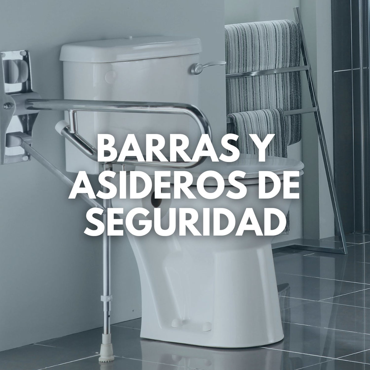 Shower Support Handrail Safety Disabled Elderly Grab Bar Handrail Toilet  Stainless Steel Agarrador Ducha Bathroom Accessories