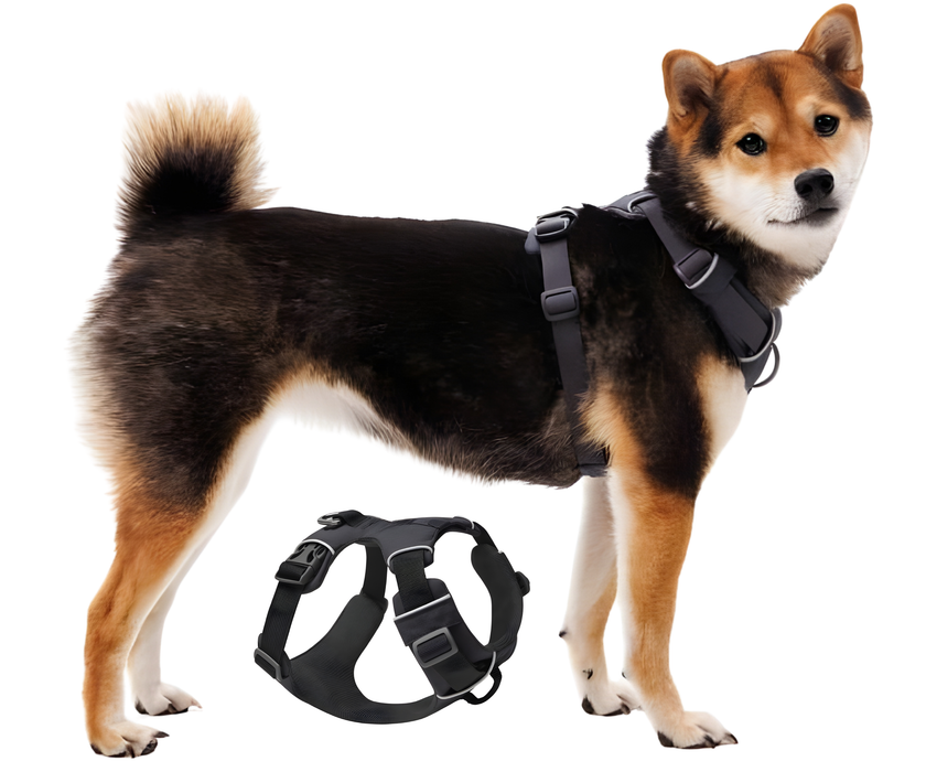 Arnés Acolchado para Perros de Uso Diario | Doble Sujeción