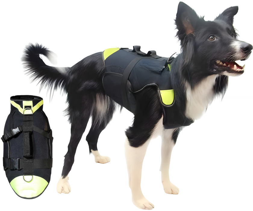 Arnés Multifuncional Canino 3 en 1 de Neopreno | 4 Tallas