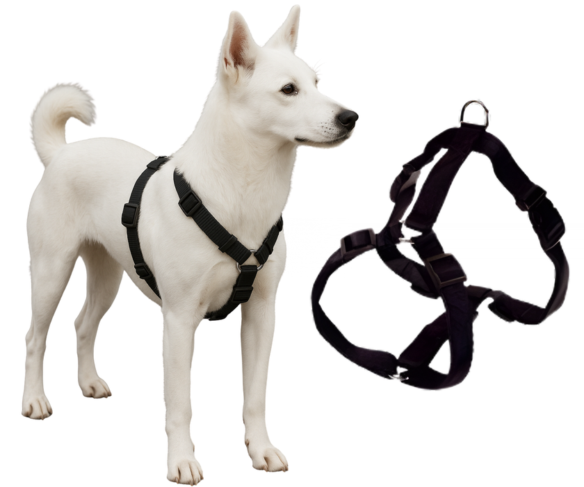 Arnés Canino para Rehabilitación Neurológica | 5 Tallas