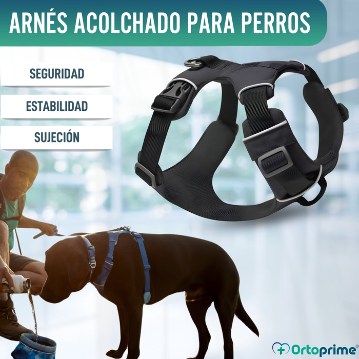 Arnés Acolchado para Perros de Uso Diario | Doble Sujeción