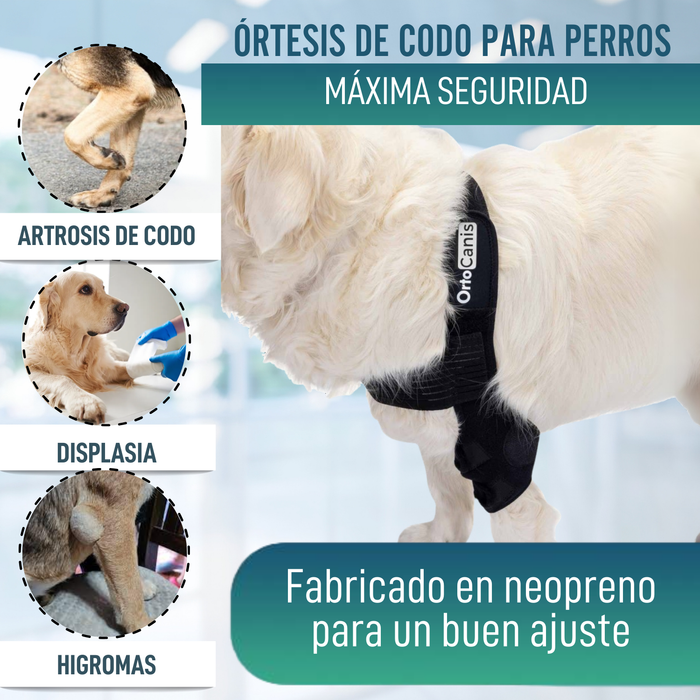Órtesis de Codo para Perros con Artrosis Rehabilitación Canina