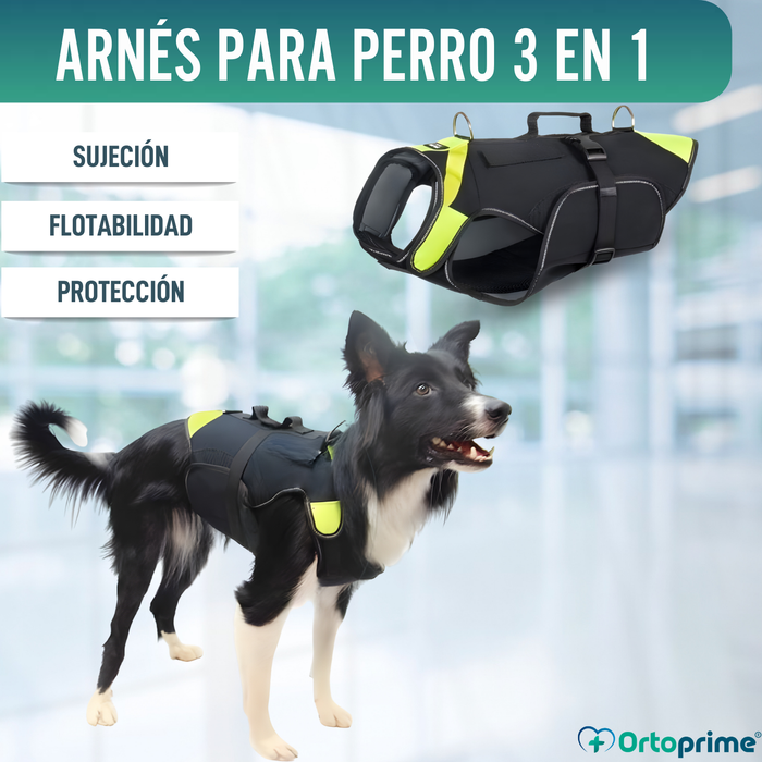 Arnés Multifuncional Canino 3 en 1 de Neopreno | 4 Tallas