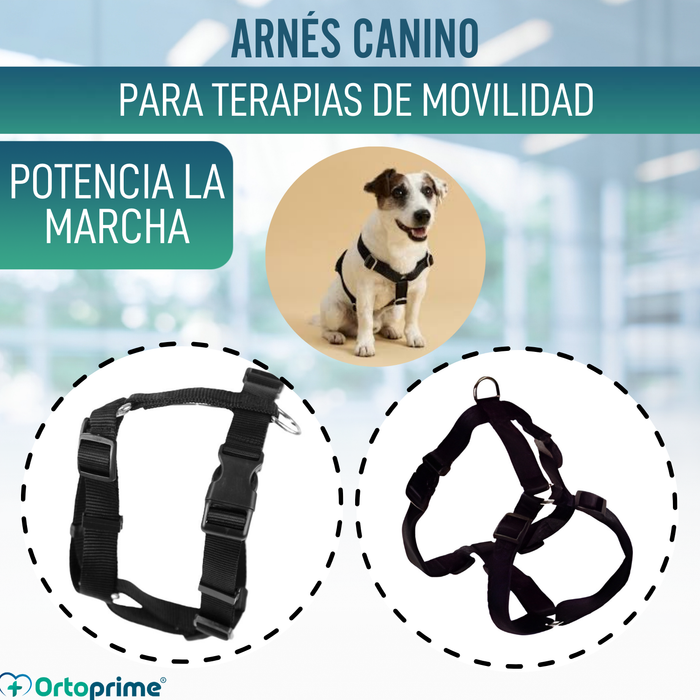 Arnés Canino para Rehabilitación Neurológica | 5 Tallas