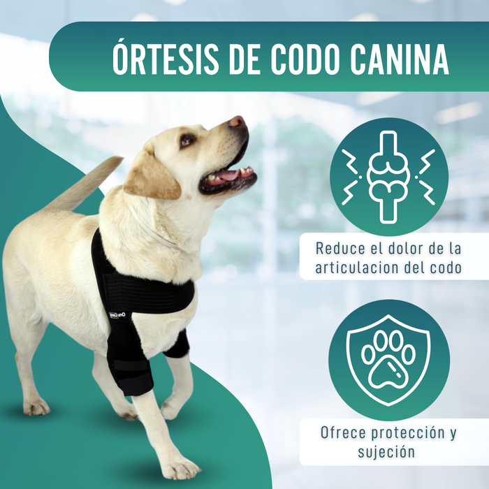 Órtesis de Codo para Perros con Artrosis Rehabilitación Canina
