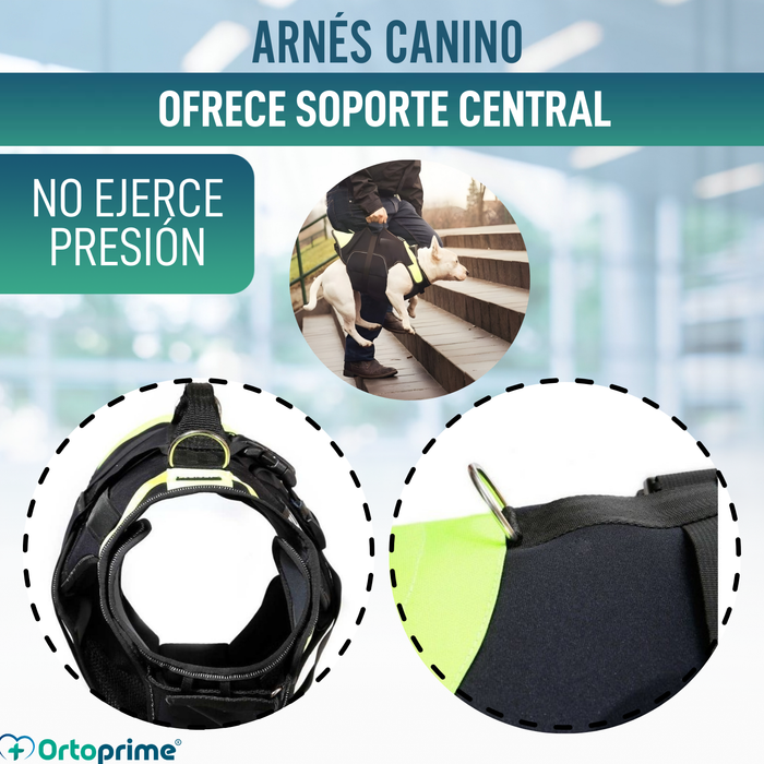 Arnés Multifuncional Canino 3 en 1 de Neopreno | 4 Tallas