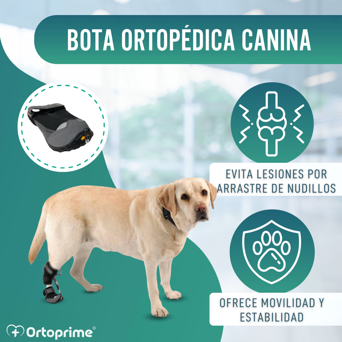 Bota para Corrector Propioceptivo Canino | Suela de Caucho