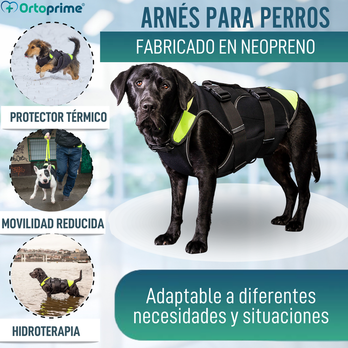 Arnés Multifuncional Canino 3 en 1 de Neopreno | 4 Tallas