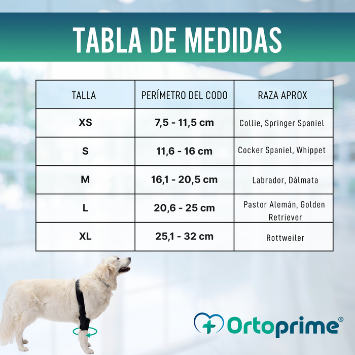 Órtesis de Codo para Perros con Artrosis Rehabilitación Canina
