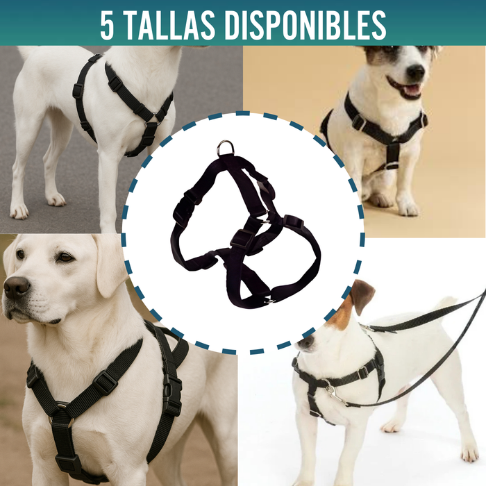 Arnés Canino para Rehabilitación Neurológica | 5 Tallas