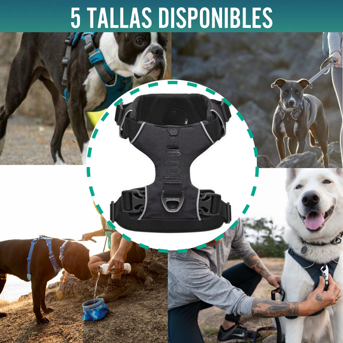 Arnés Acolchado para Perros de Uso Diario | Doble Sujeción