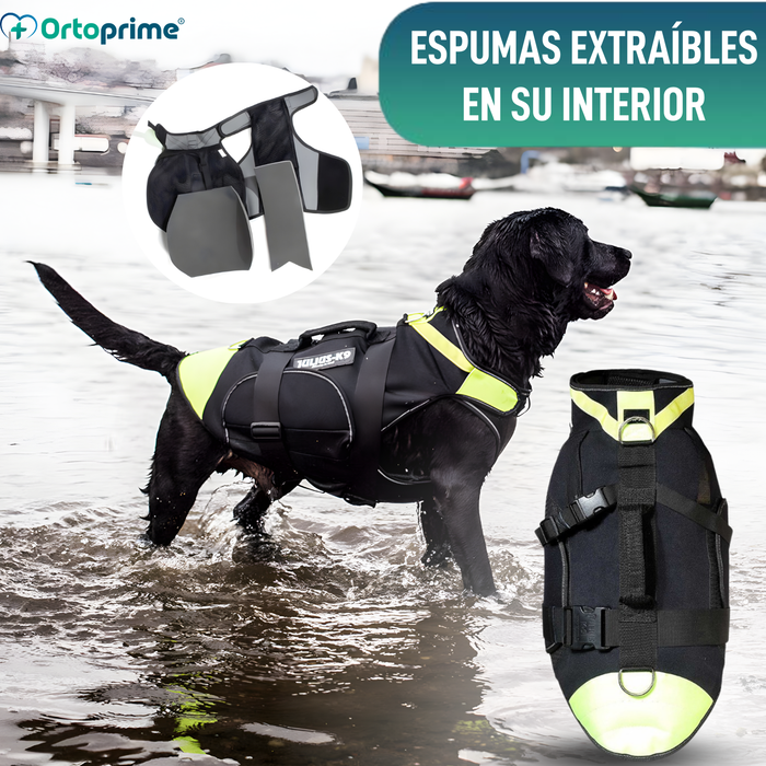 Arnés Multifuncional Canino 3 en 1 de Neopreno | 4 Tallas