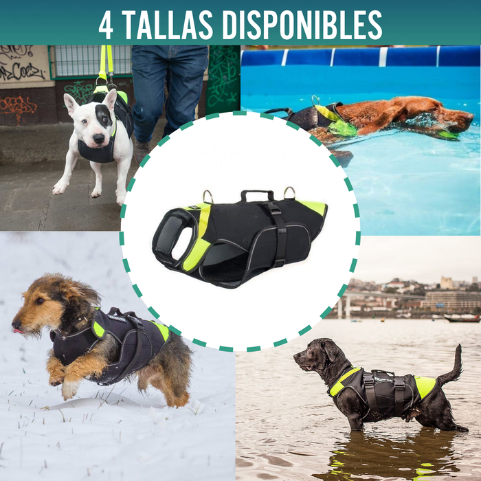 Arnés Multifuncional Canino 3 en 1 de Neopreno | 4 Tallas