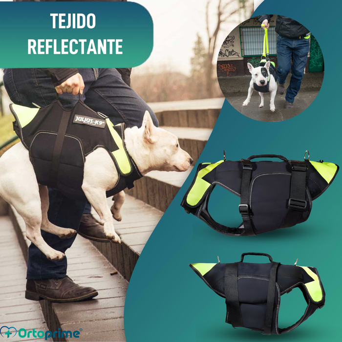 Arnés Multifuncional Canino 3 en 1 de Neopreno | 4 Tallas