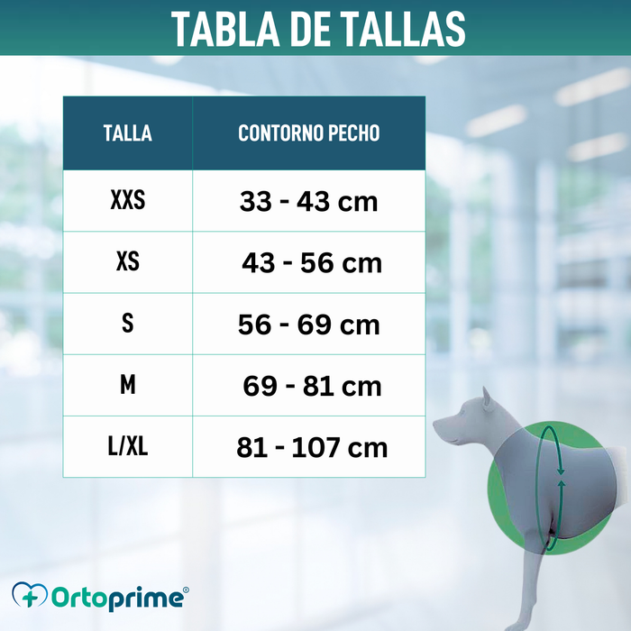 Arnés Acolchado para Perros de Uso Diario | Doble Sujeción