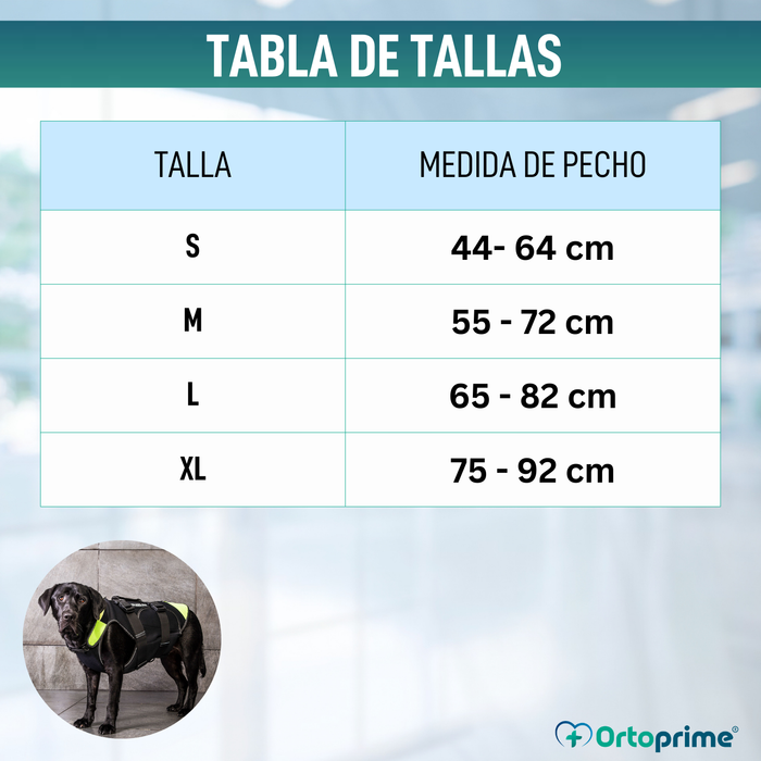 Arnés Multifuncional Canino 3 en 1 de Neopreno | 4 Tallas