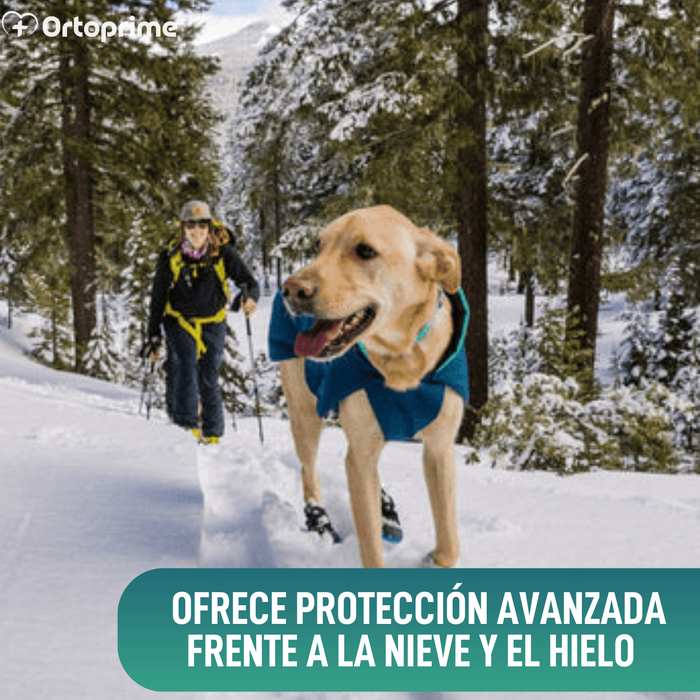 Bota Alta de Invierno para Perros | Suela Antideslizante