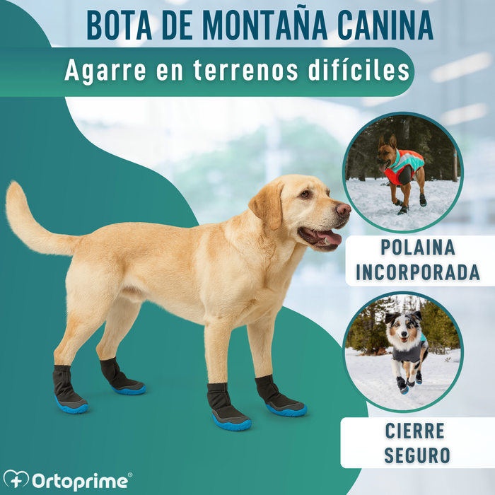 Bota Alta de Invierno para Perros | Suela Antideslizante