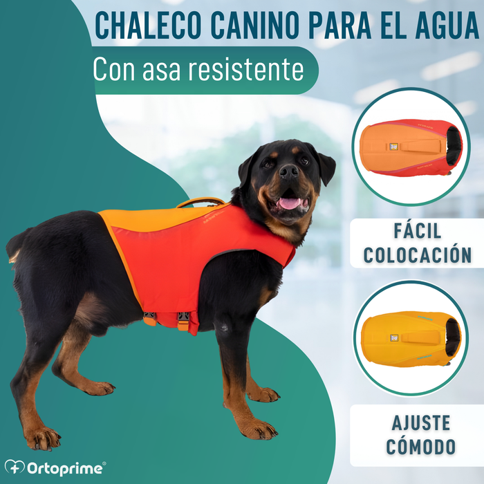 Chaleco Salvavidas Perro Múltiple Uso | Seguridad Acuática