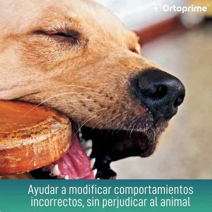 Spray Antimordeduras para Perros | Educador Natural Canino