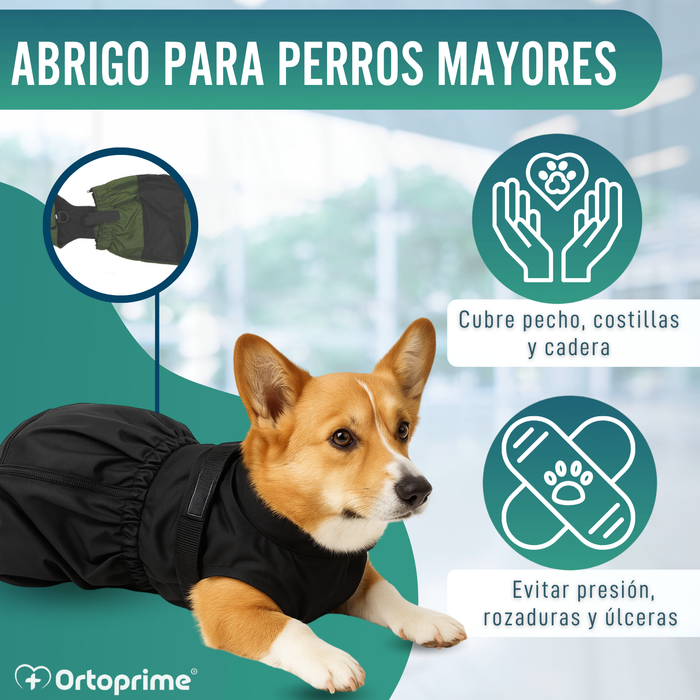 Abrigo de Nylon para Perros con Movilidad Reducida | 6 Tallas