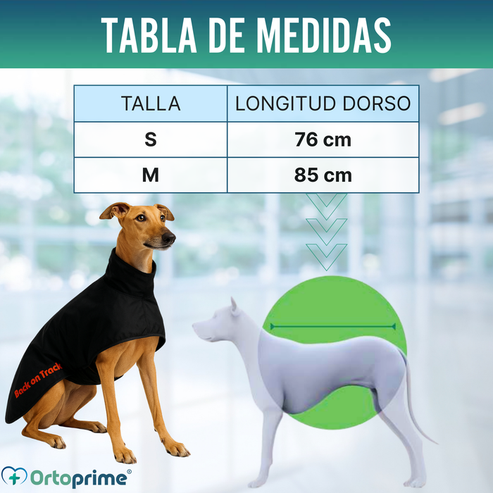 Abrigo Térmico Impermeable para Perro Galgo | 2 Tallas