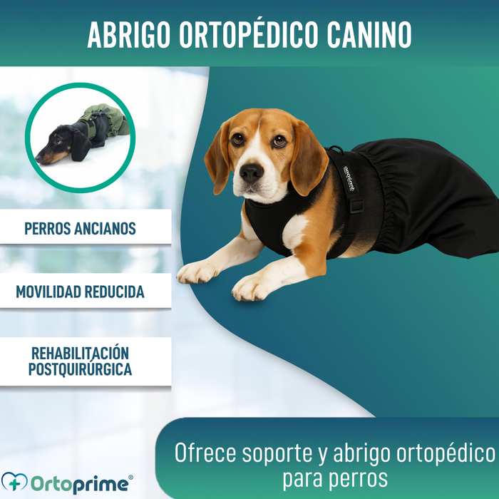 Abrigo de Nylon para Perros con Movilidad Reducida | 6 Tallas