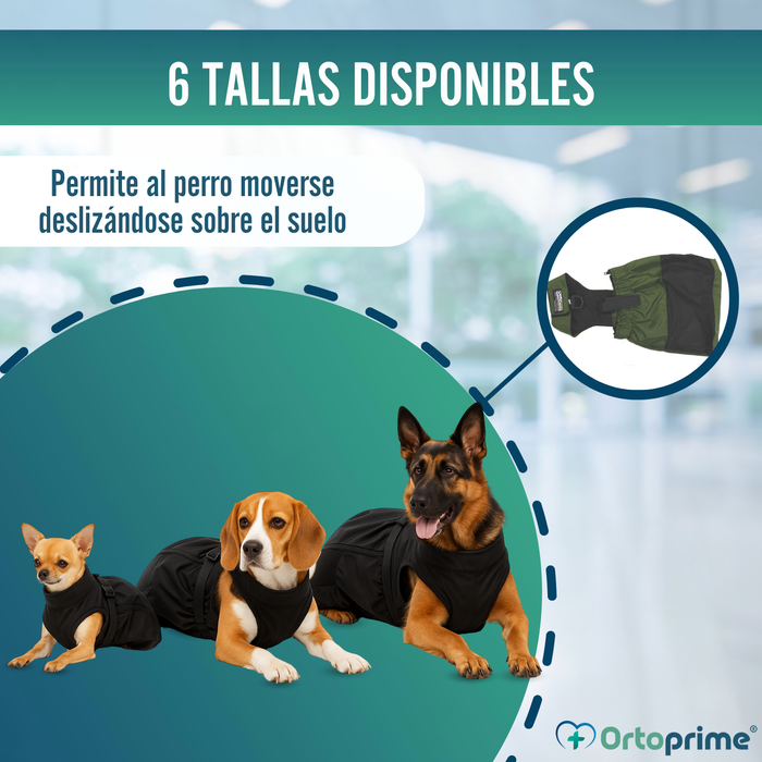 Abrigo de Nylon para Perros con Movilidad Reducida | 6 Tallas