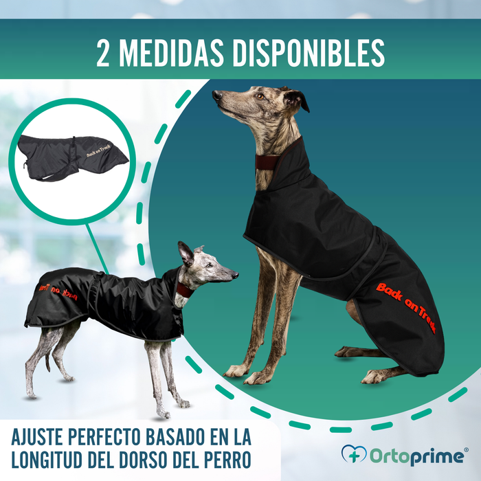 Abrigo Térmico Impermeable para Perro Galgo | 2 Tallas