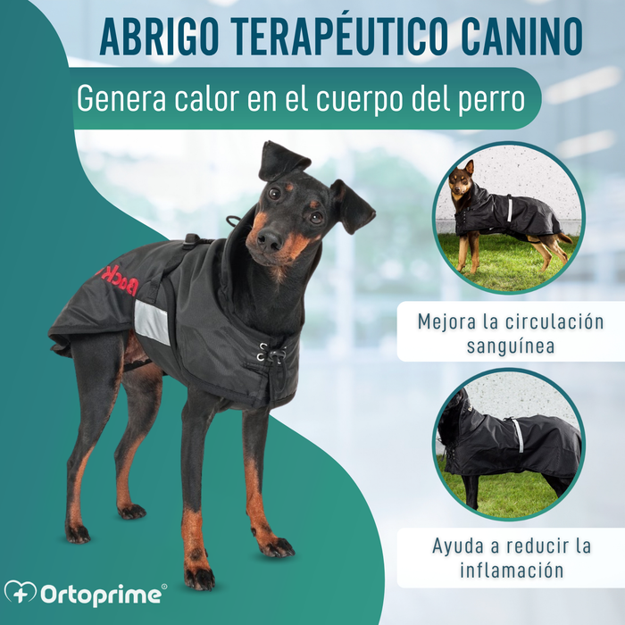 Abrigo Térmico Impermeable para Perros | Back on Track