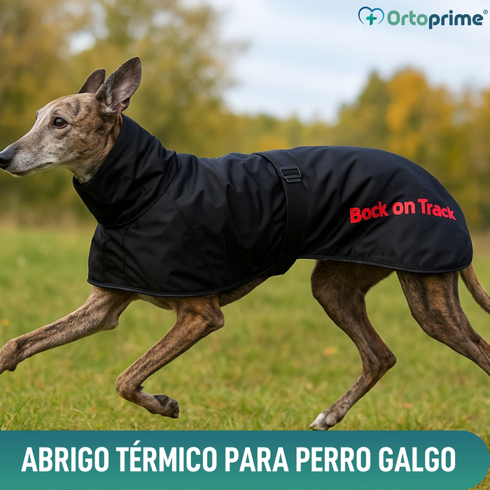 Abrigo Térmico Impermeable para Perro Galgo | 2 Tallas