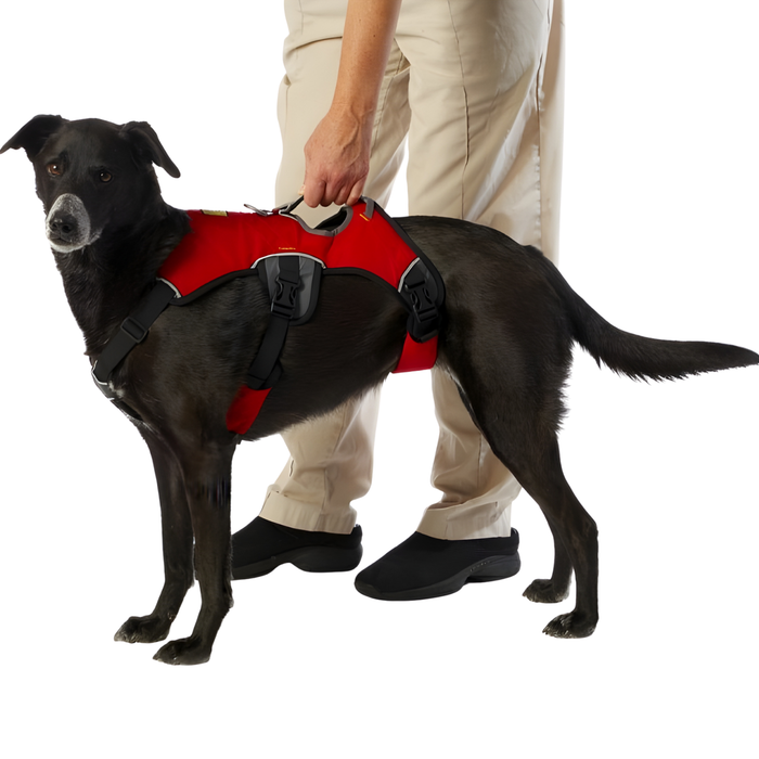 Arnés de Sujeción para Perros de Servicio | 5 Tallas