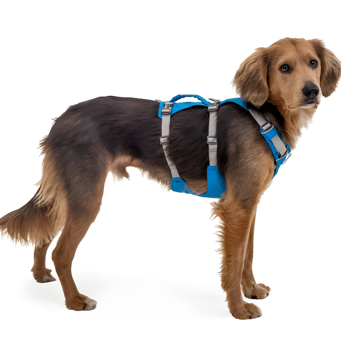 Arnés de Elevación Multiuso Canino | Estructura Resistente