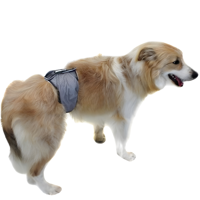 Faja Antigoteo para Incontinencia Canina | Perro Macho