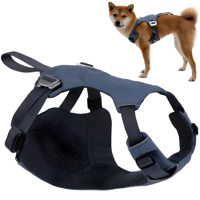 Arnés de Seguridad para Traslado Canino | Mayor Resistencia