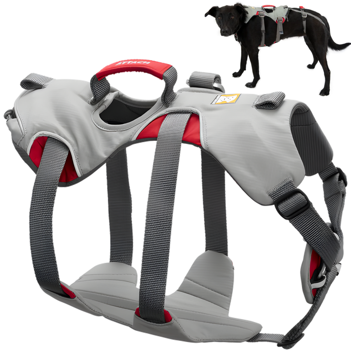 Arnés de Apoyo para Perros de Alpinismo | Máxima Resistencia