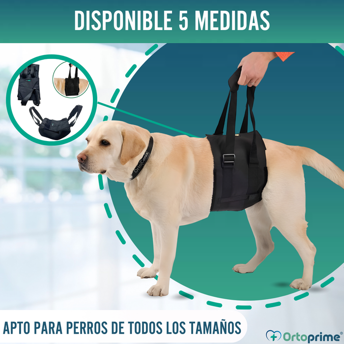 Banda de Ayuda para Perros con Movilidad Reducida | 5 Tallas