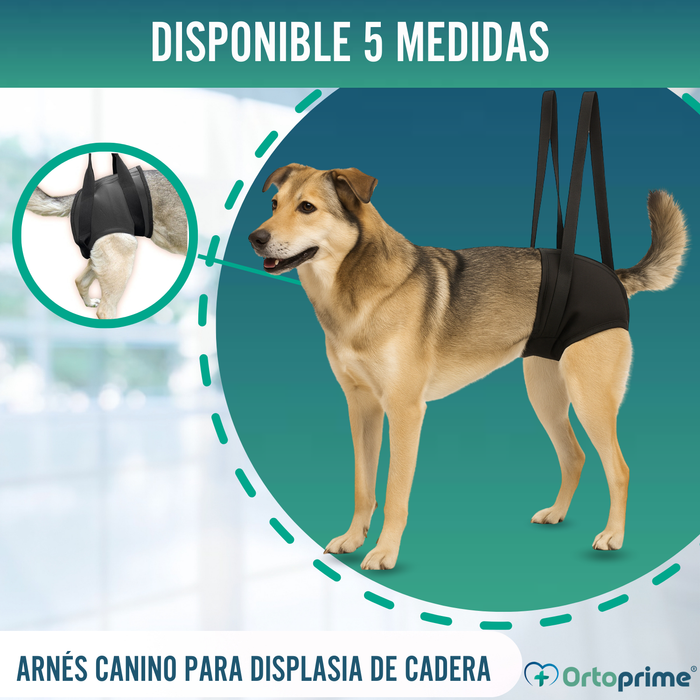 Arnés de Rehabilitación Canina Patas Traseras | 5 Tallas