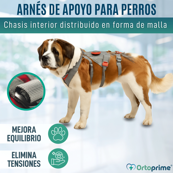 Arnés de Apoyo para Perros de Alpinismo | Máxima Resistencia