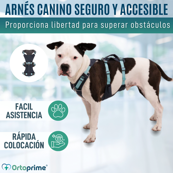 Arnés de Elevación Multiuso Canino | Estructura Resistente