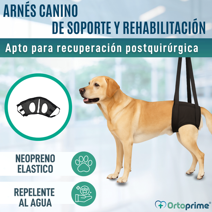 Arnés de Rehabilitación Canina Patas Traseras | 5 Tallas