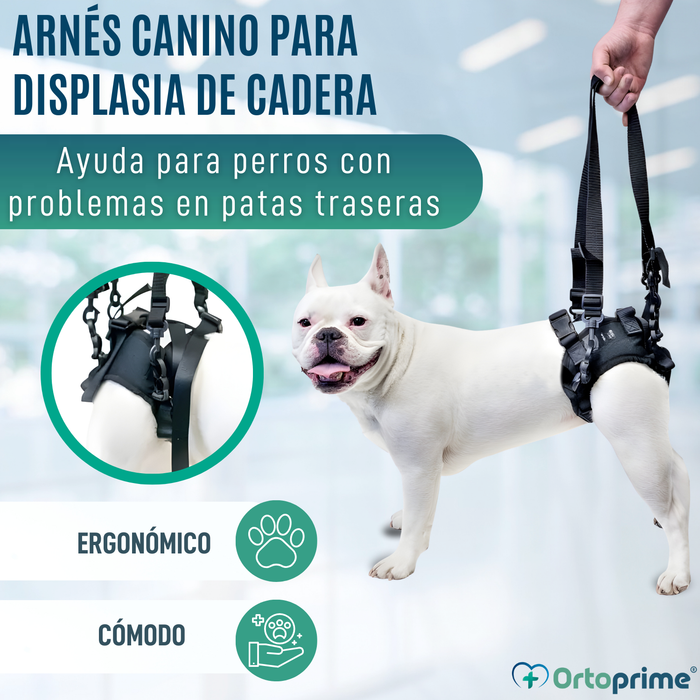 Arnés para Perros con Movilidad Reducida en Patas Traseras