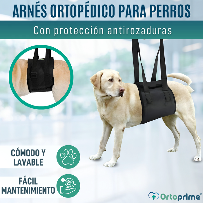 Banda de Ayuda para Perros con Movilidad Reducida | 5 Tallas