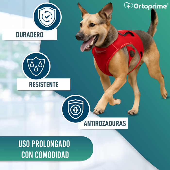 Arnés de Sujeción para Perros de Servicio | 5 Tallas