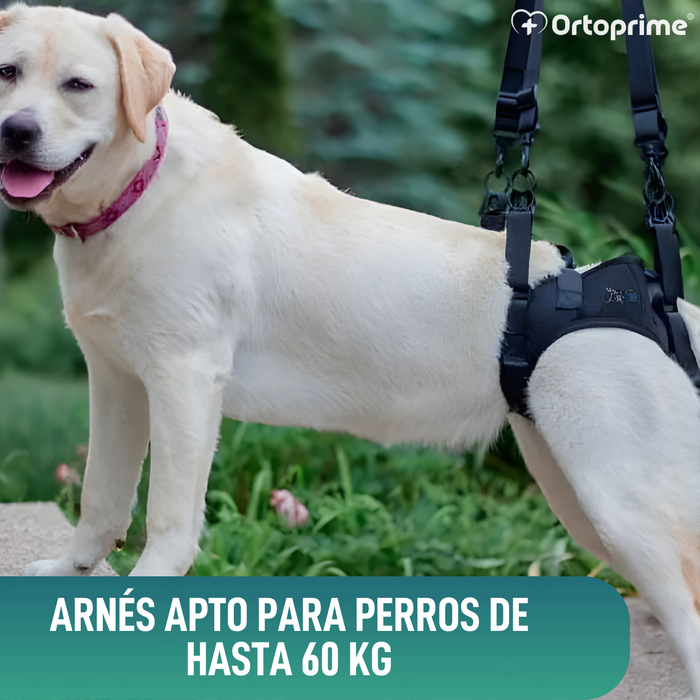 Arnés para Perros con Movilidad Reducida en Patas Traseras