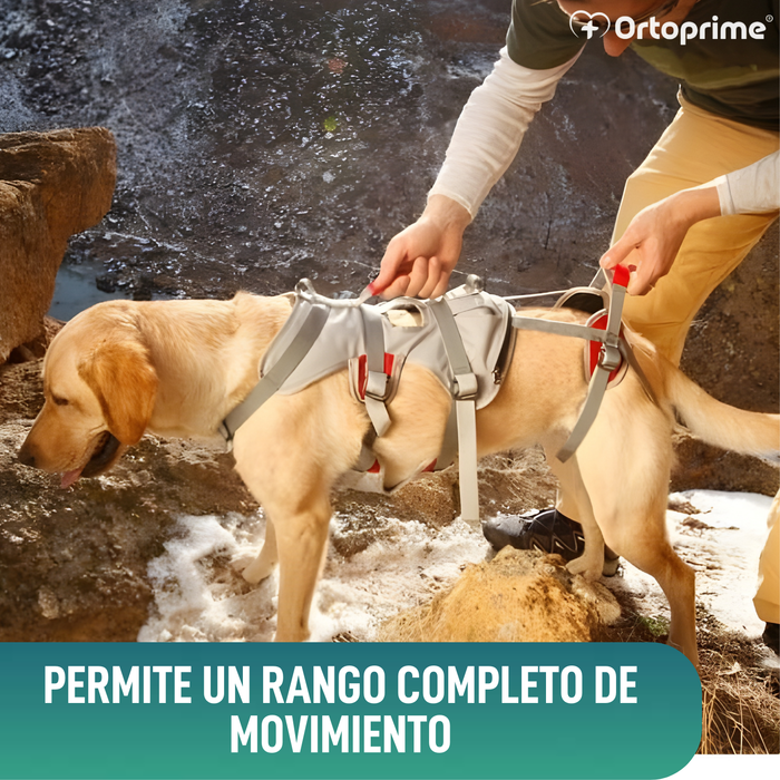 Arnés de Apoyo para Perros de Alpinismo | Máxima Resistencia